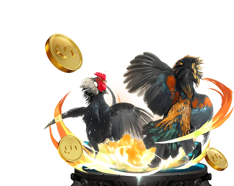 Đá gà trực tuyến Sun Win